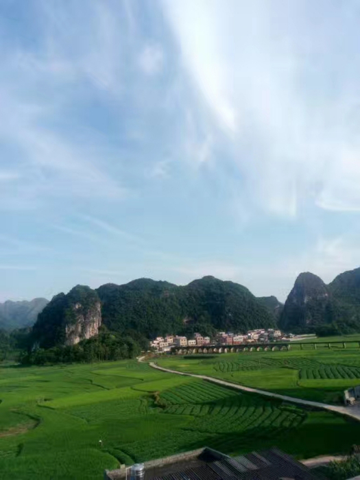 拔良村 拔良村
