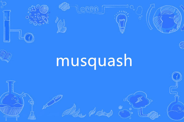 musquash musquash