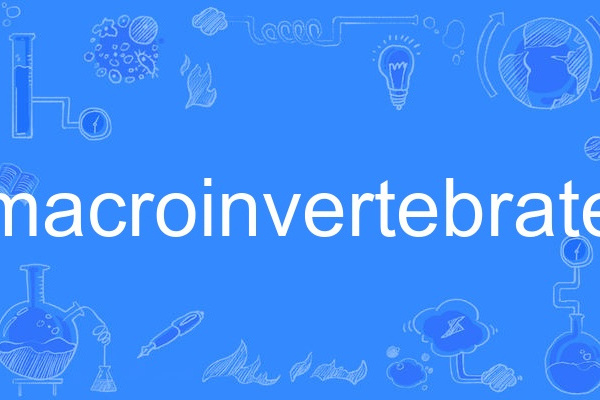 macroinvertebrate macroinvertebrate