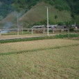 瓦金街村 瓦金街村
