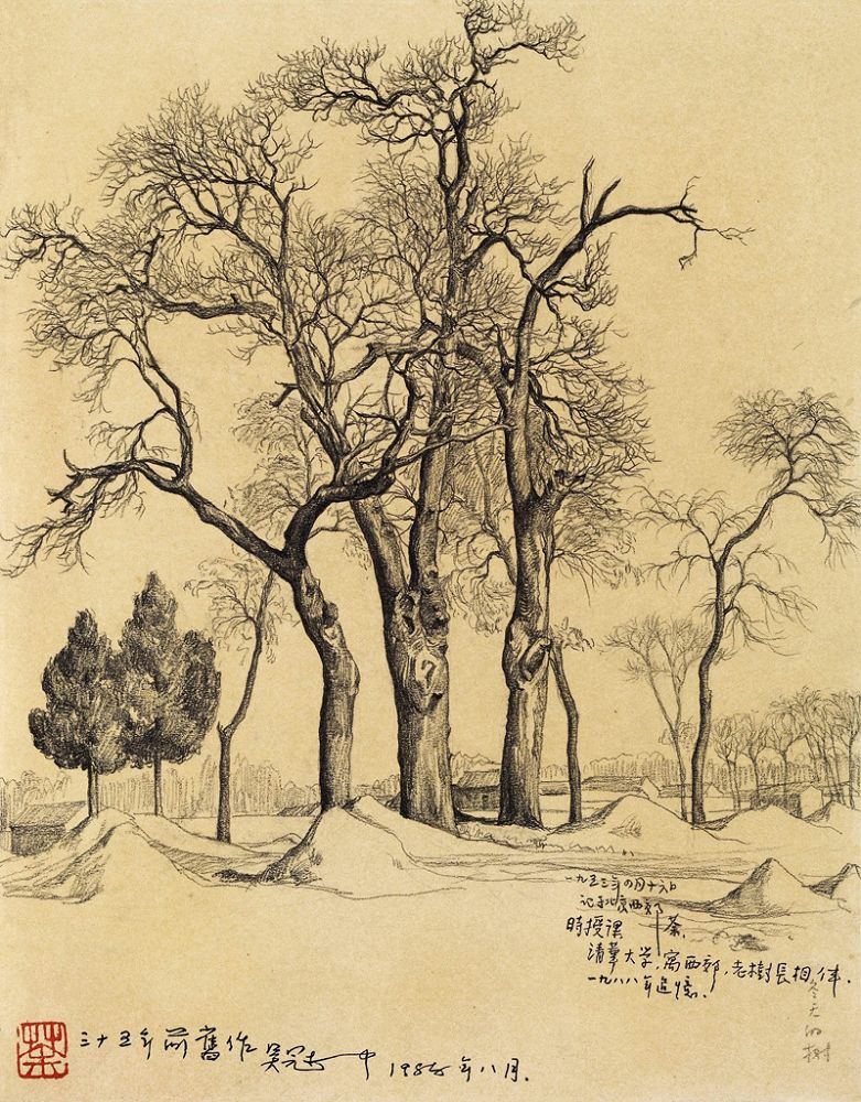 《冬天的樹》（素描）
