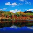 鳳凰山國家森林公園(鳳凰山公園(貴州省遵義市鳳凰山公園)) 鳳凰山國家森林公園(鳳凰山公園(貴州省遵義市鳳凰山公園))