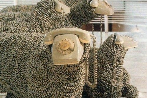 SCP-1498 SCP-1498
