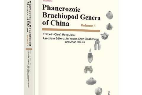 Phanerozoic brachiopod genera of China