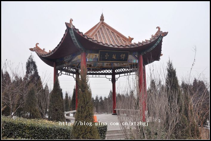 儒林亭 儒林亭