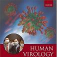 Human Virology(2006年Oxford Univ Pr出版的圖書) Human Virology(2006年Oxford Univ Pr出版的圖書)