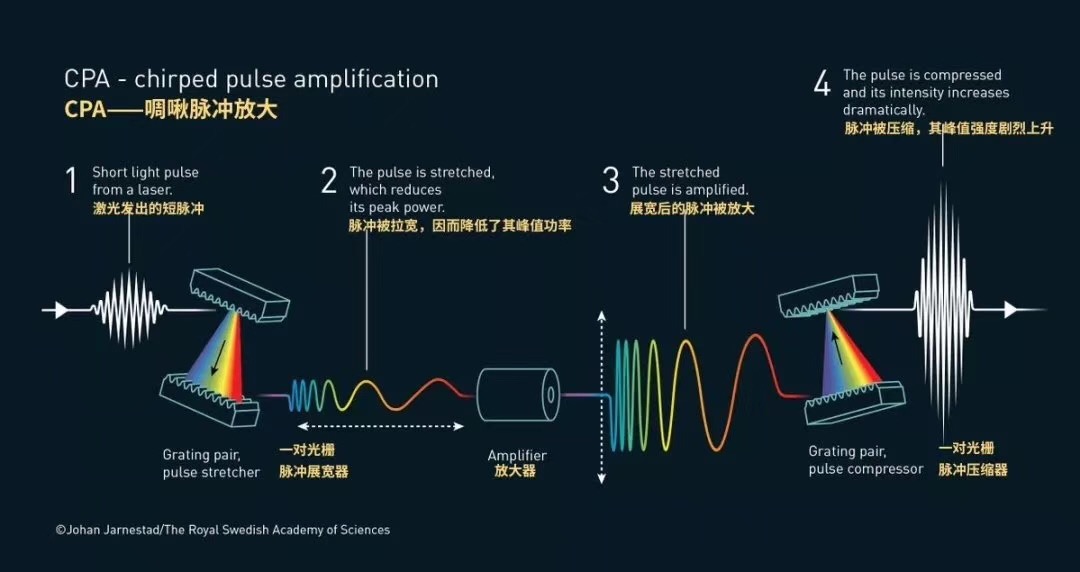 唐娜·斯特里克蘭