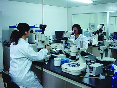 南京醫科大學代謝疾病科研人員在實驗室