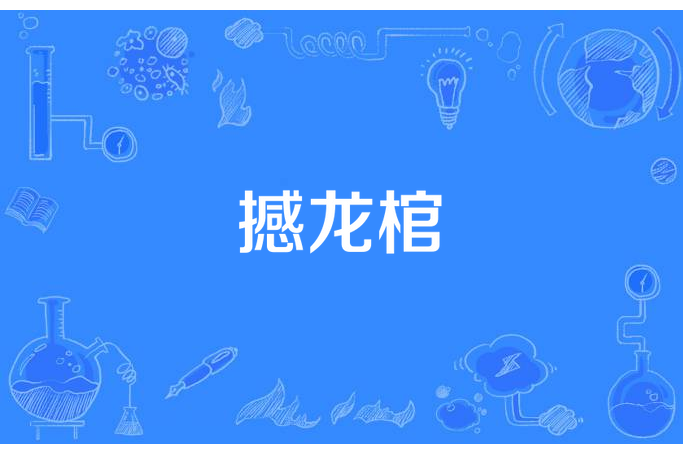 撼龍棺 撼龍棺