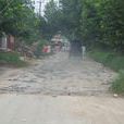 淮南路 淮南路