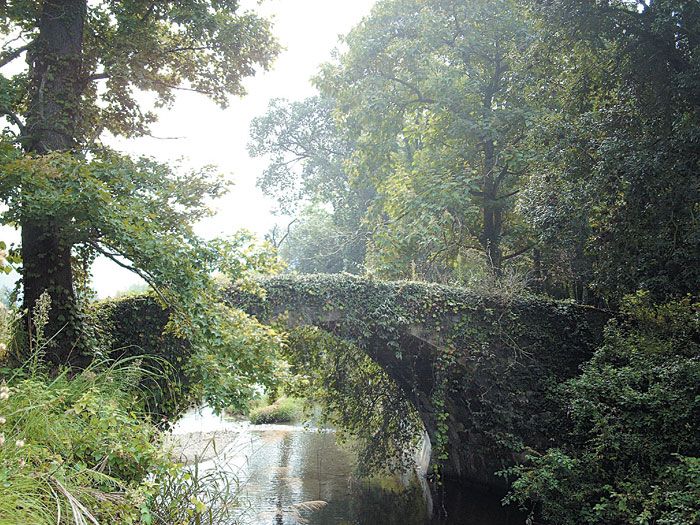 古橋子村 古橋子村