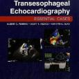 The Practice of Perioperative Transesophageal Echocardiography The Practice of Perioperative Transesophageal Echocardiography