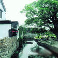 臨山村 臨山村