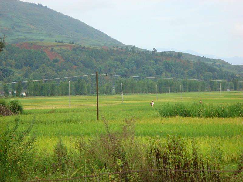 翁冷村 翁冷村