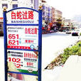 白蛇過路 白蛇過路