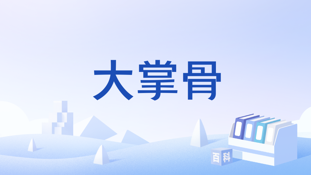 大掌骨 大掌骨