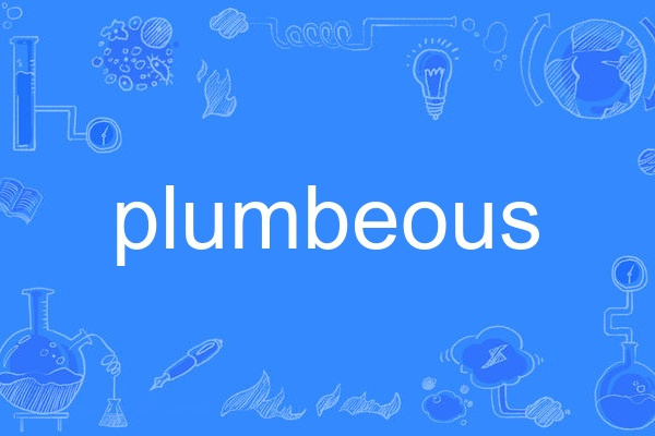 plumbeous plumbeous