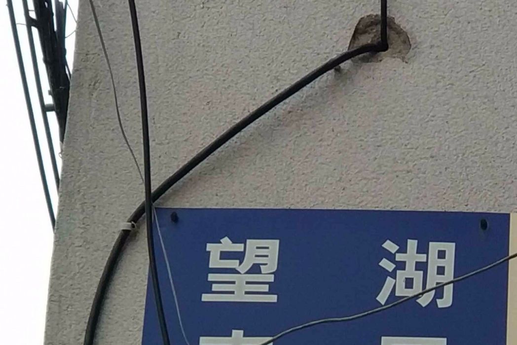 望湖南區 望湖南區