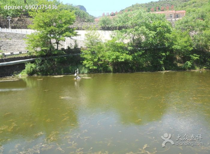 白魚塘村 白魚塘村
