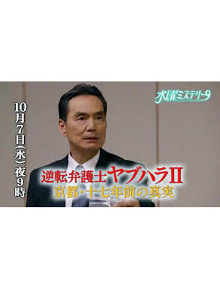 釋由美子 釋由美子
