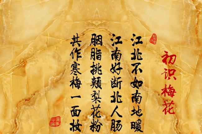 初識梅花 初識梅花