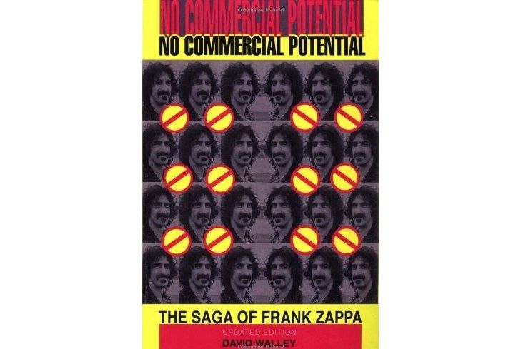No Commercial Potential No Commercial Potential
