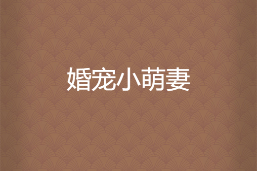 婚寵小萌妻 婚寵小萌妻