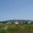 陳家渡村 陳家渡村