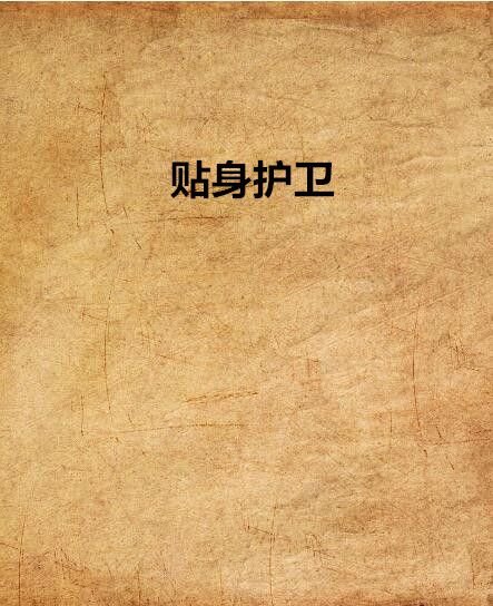 貼身護衛 貼身護衛