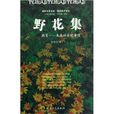 野花集:教育-未來社會的希望(野花集) 野花集:教育-未來社會的希望(野花集)