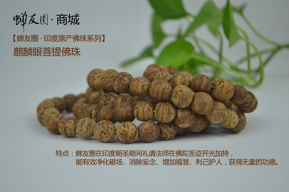 麒麟佛珠 麒麟佛珠