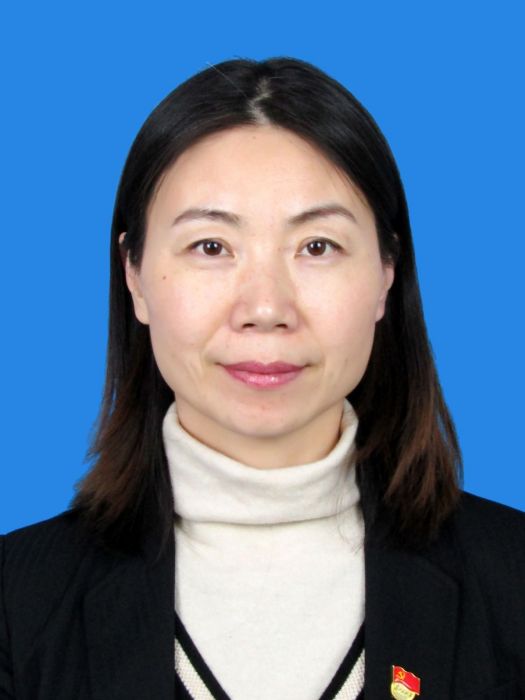 朱振華(河南省鄭州市金水區工業和信息化局黨組書記) 朱振華(河南省鄭州市金水區工業和信息化局黨組書記)