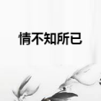 情不知所已 情不知所已