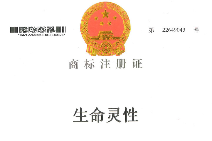 生命靈性 生命靈性