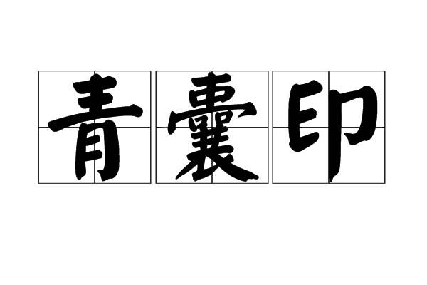 青囊印 青囊印