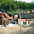 王棣村 王棣村