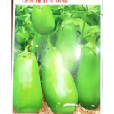 洛陽青茄 洛陽青茄