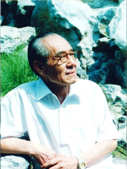 楊樹文(中國美術家協會會員) 楊樹文(中國美術家協會會員)