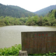 雲湖森林公園 雲湖森林公園