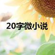 20字微小說 20字微小說