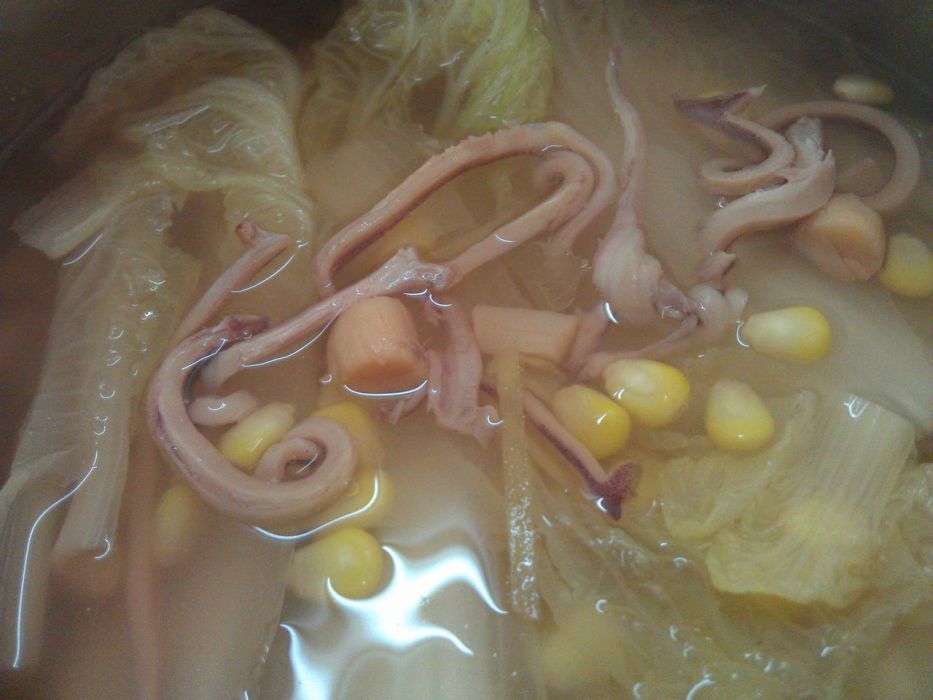 魷魚娃娃菜 魷魚娃娃菜