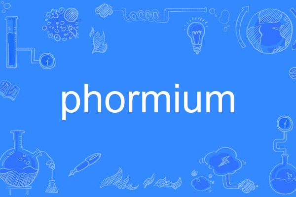 phormium phormium
