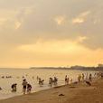 沙灘浴場(南京市高淳區沙灘浴場) 沙灘浴場(南京市高淳區沙灘浴場)