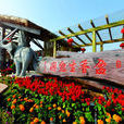 盈香生態園 盈香生態園