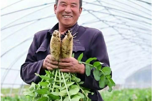 崔普選 崔普選