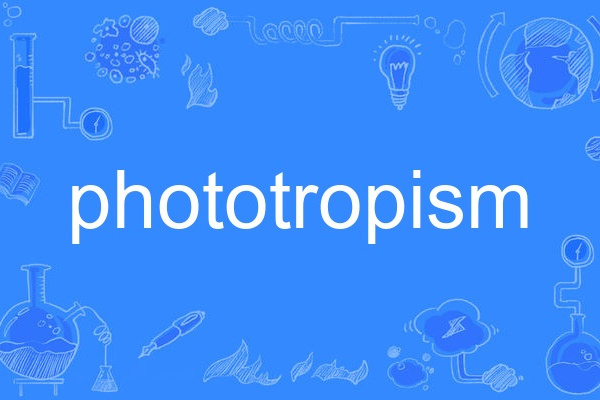 phototropism phototropism