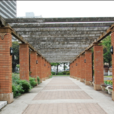 山下公園 山下公園