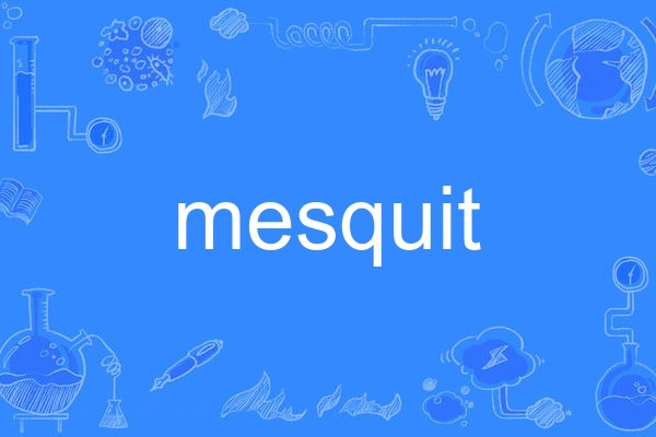 mesquit mesquit