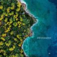 夢幻島(美國2020年傑夫·瓦德洛執導電影) 夢幻島(美國2020年傑夫·瓦德洛執導電影)