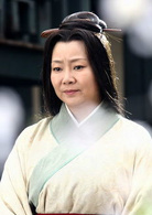孔雀東南飛(中國2009年王文杰執導電視劇)